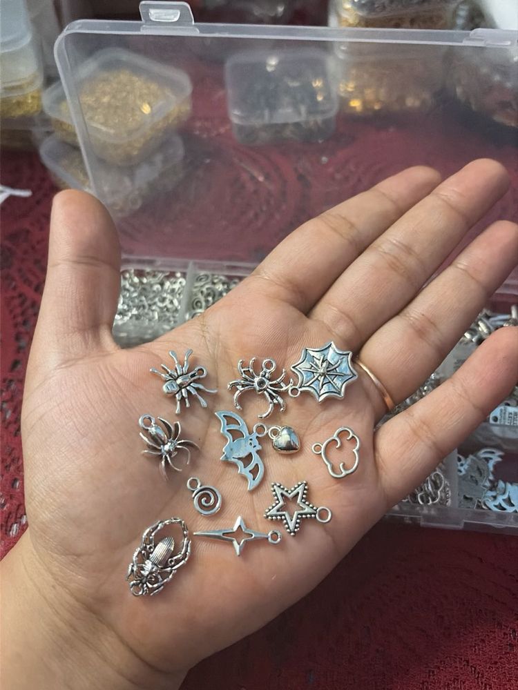 Assorted Charm Collection (Full Box)