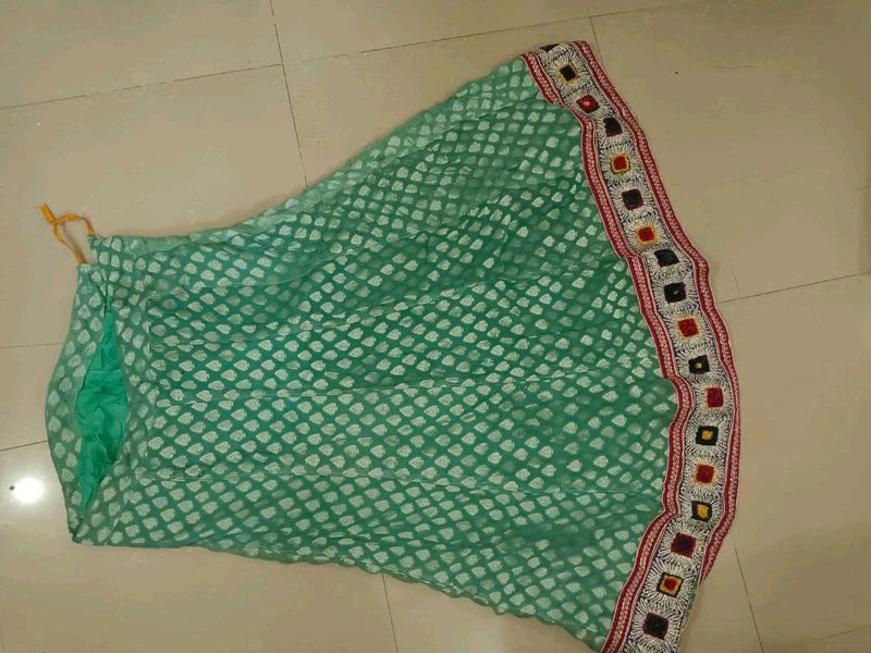 Beautiful Green Ethnic Skirt
