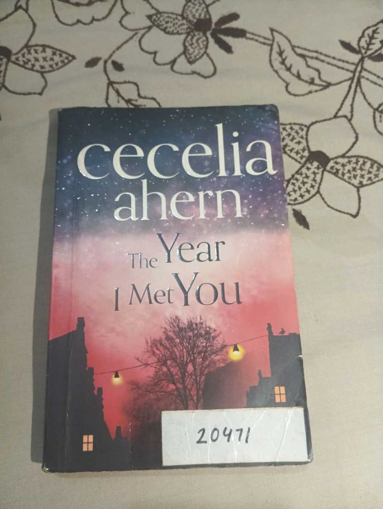 The Year I Met You by Cecelia Ahern
