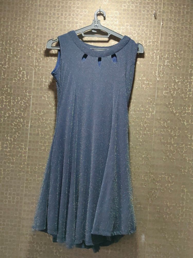 Shimmery Party Wear Dress