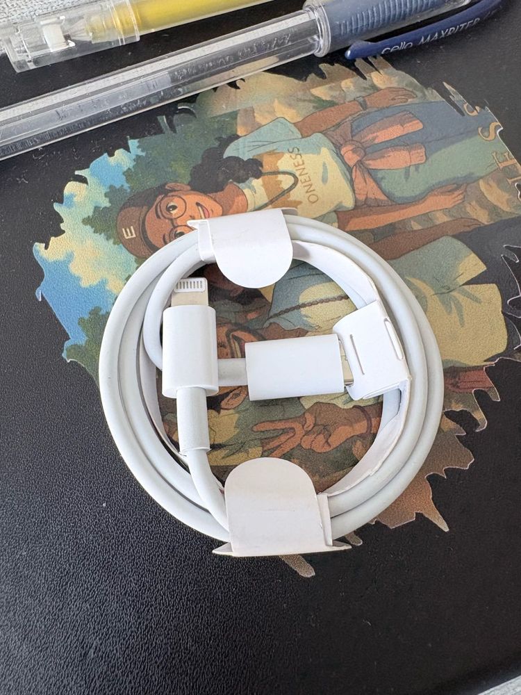 Apple Lightning USB Cable