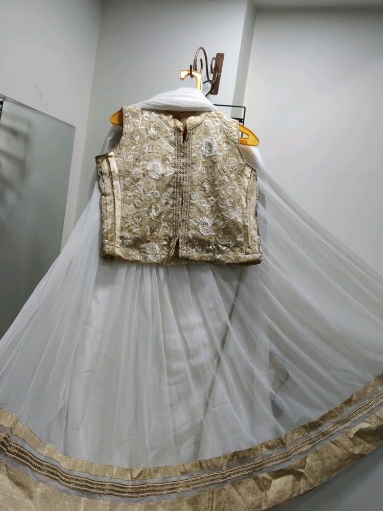 Festive Wear Lehenga Choli Set