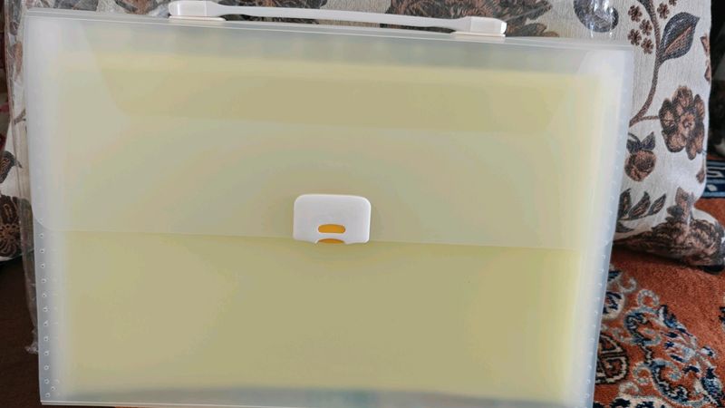 Expanding File Folder With 13 Pockets