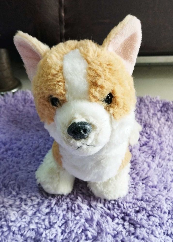 Cute Corgi Plushie