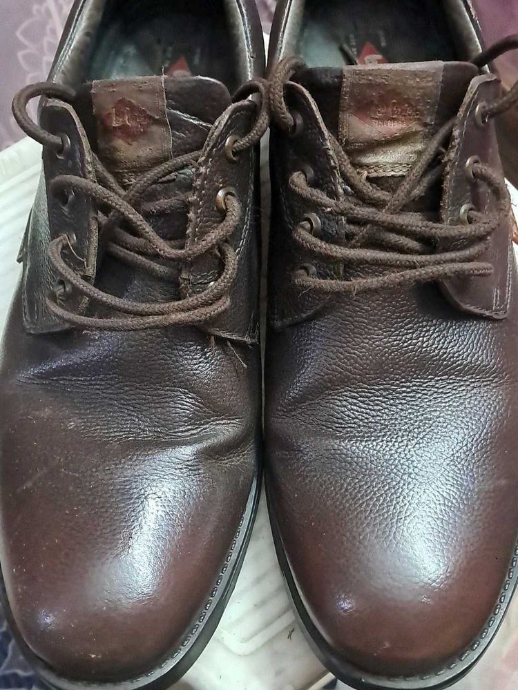 Lee Cooper Brown Leather Shoes Size UK10