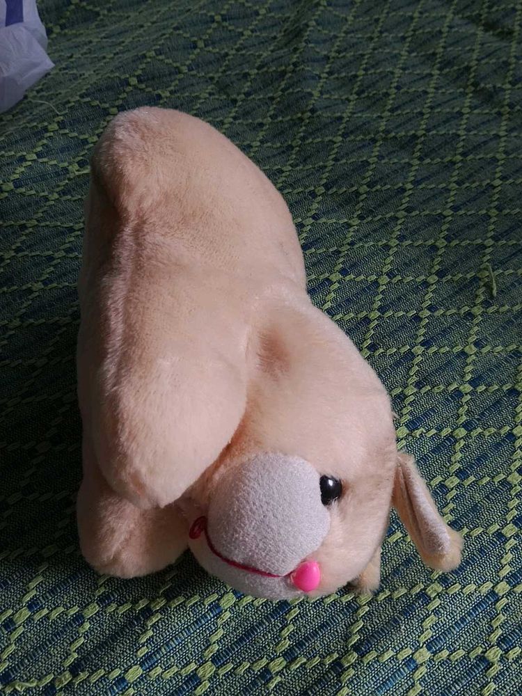 Cute Plush Dog Toy