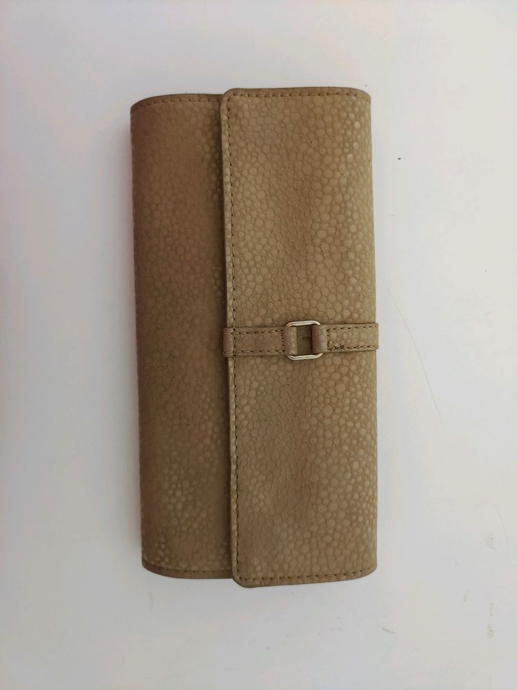 Item-KBG56/UNUSED FROM CLOSET/Beautiful BEIGE Colored BAGGIT PURSE/BAG/POUCH/CLUTCH..