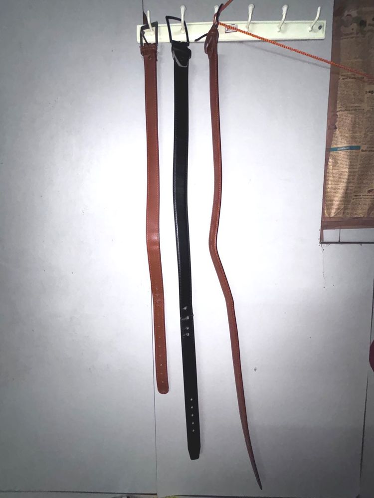 Classic Leather Belts