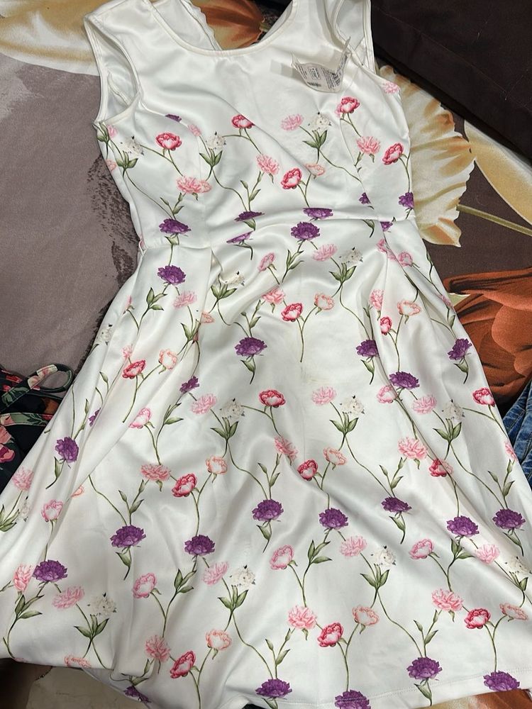 Chic Floral Print Fit &amp; Flare Dress