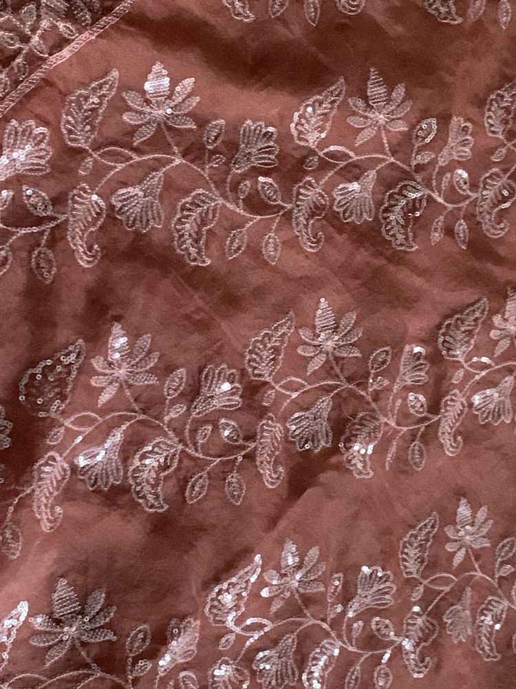 soft organza sequined saree -nude brown