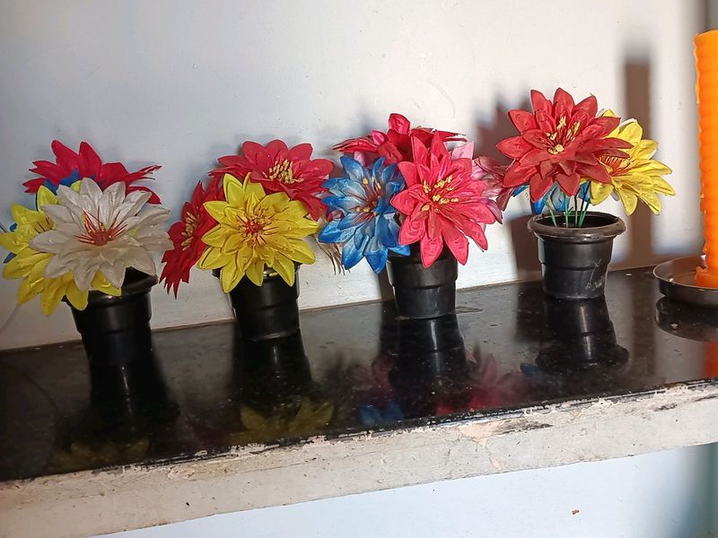 4 Showcase Flowers