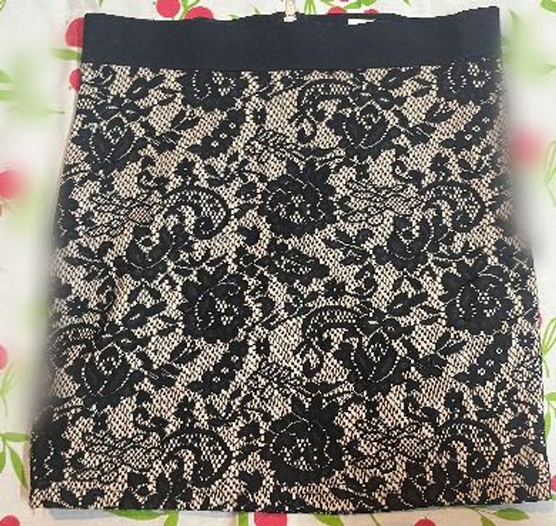 Elegant Lace Skirt