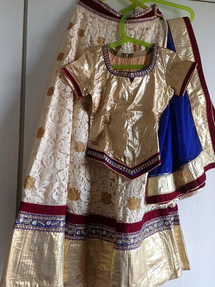 Gold Embellished Lehenga Choli Set
