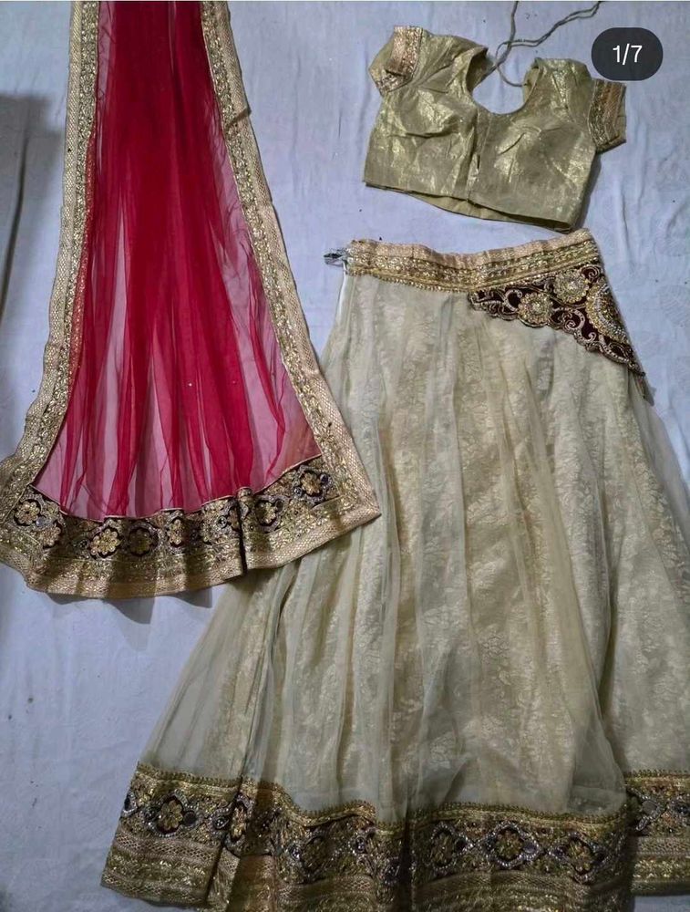 Elegant Lehenga Choli Set