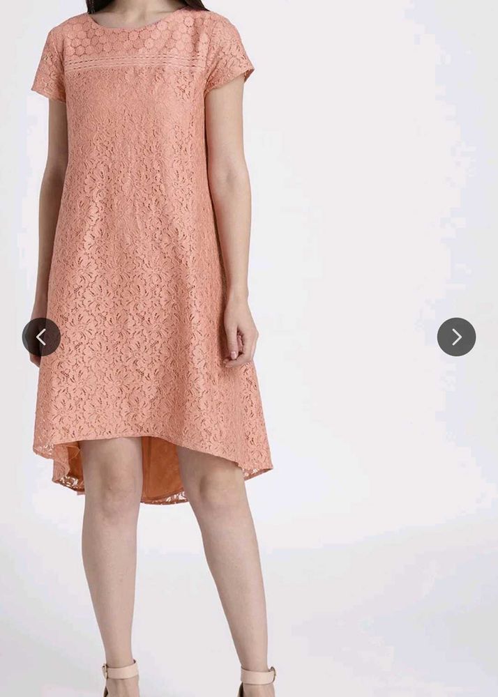 Elegant Lace Dress