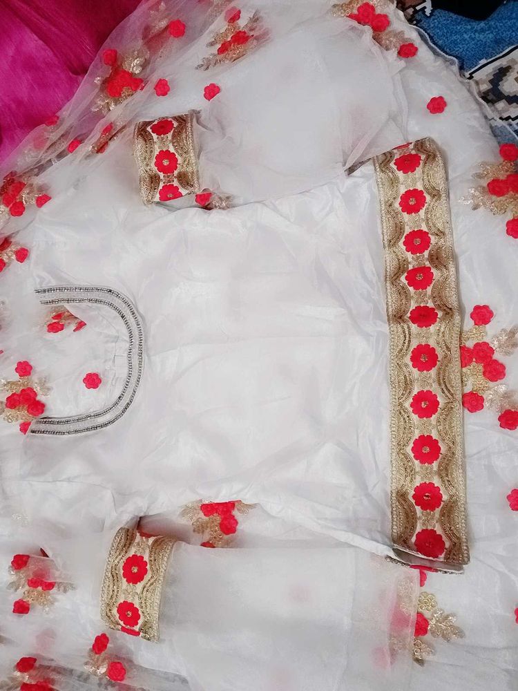 beautiful White Lehenga Choli with Red Embroidery❤