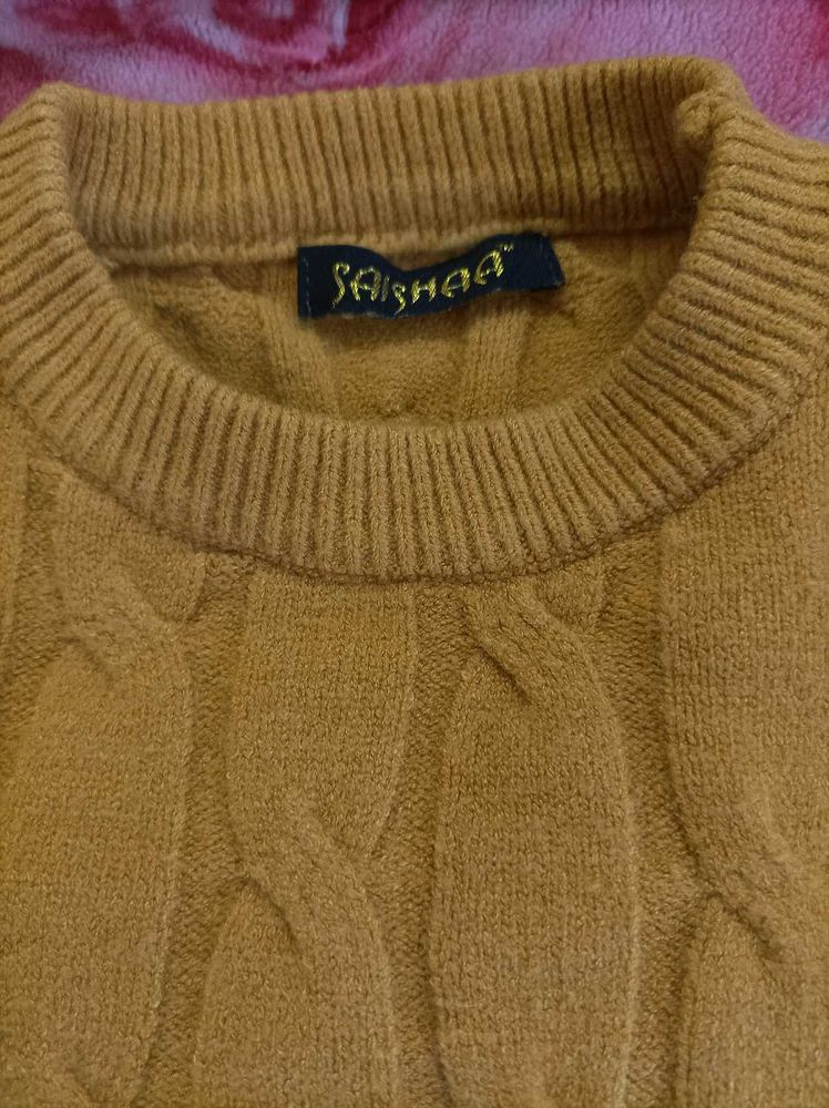 Stylish Brown Knit Pullover