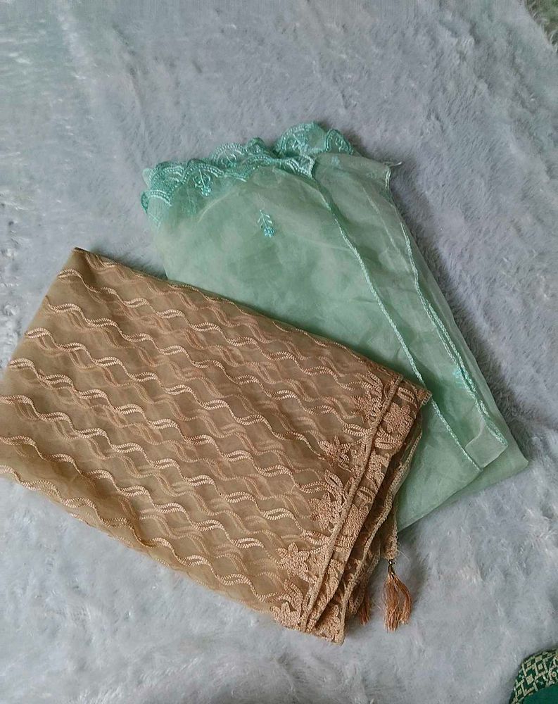 Beautiful Lace Dupatta Set pack of 2