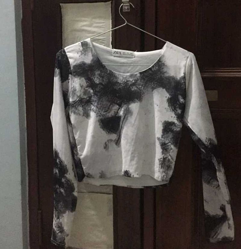 ZARA Mesh full sleeve crop top