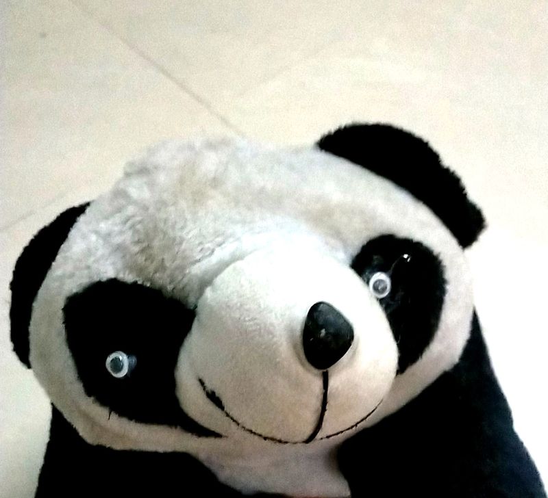 Pretty Panda