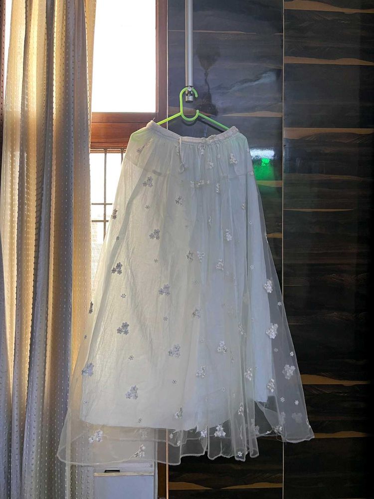 Beautiful Embroidered Skirt