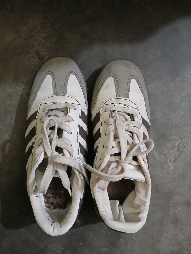 Sambas