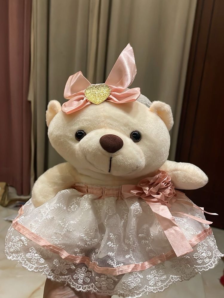 Cute Teddy Bear with Dress