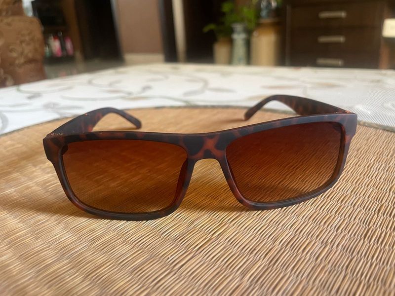 New Brown Leopard Sunglasses with Rectangle Rim
