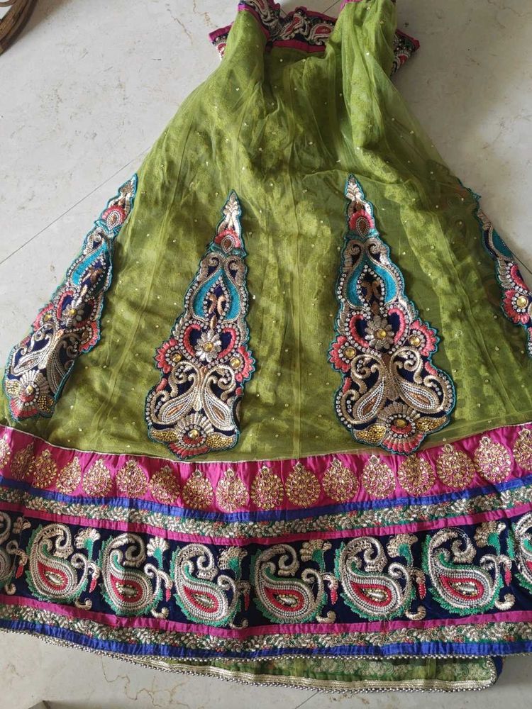 Embroidered Lehenga Choli