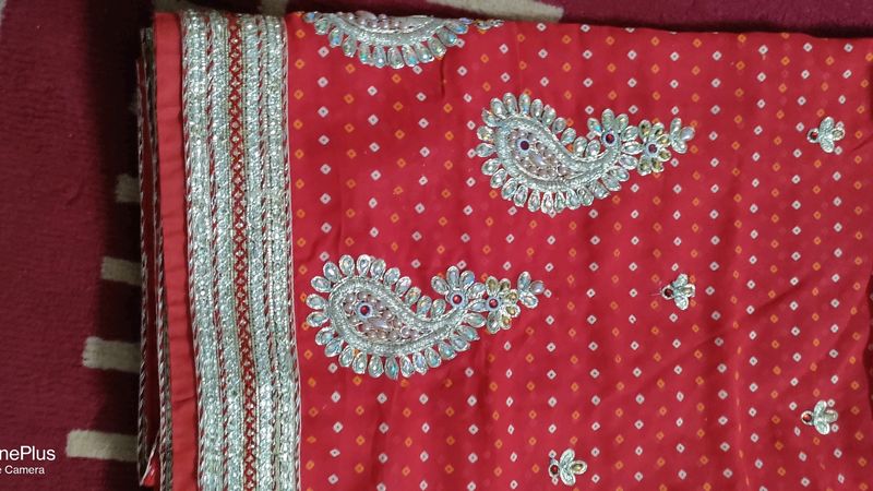 Beautiful Saree With Work