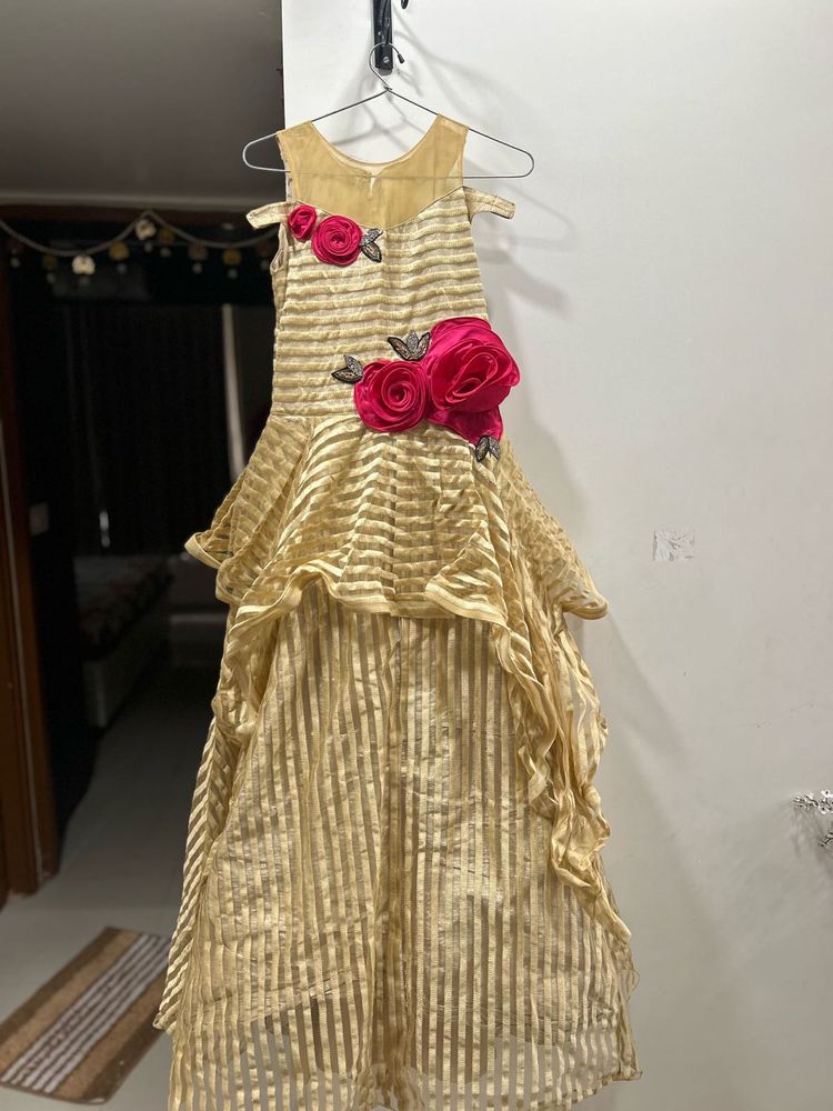 Beautiful Gold Ethnic Gown