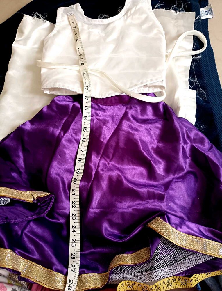 Purple Lehenga Choli Set