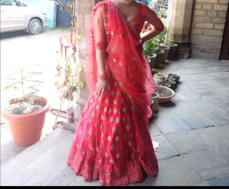 Gorgeous Pink &amp; Gold Lehenga