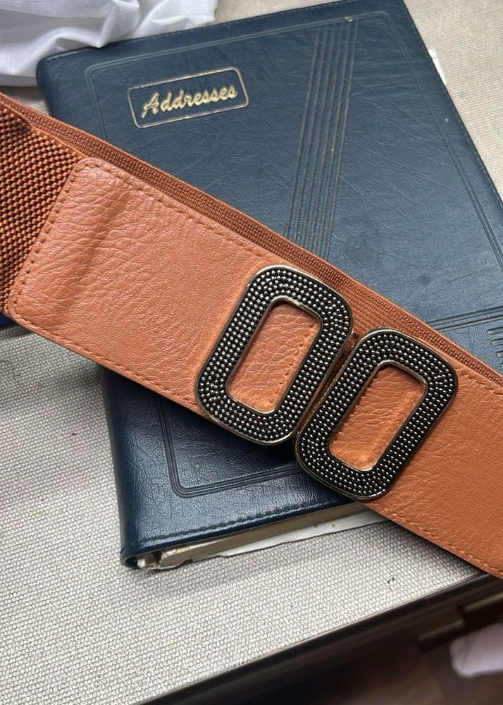 Brown Elastic Belt with Ornate Buckle