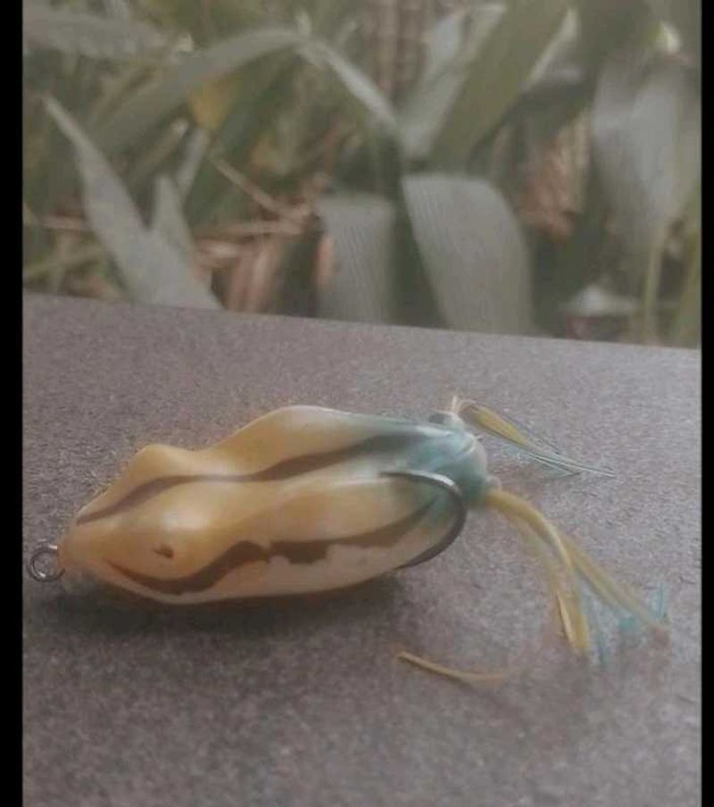 Fishing frog