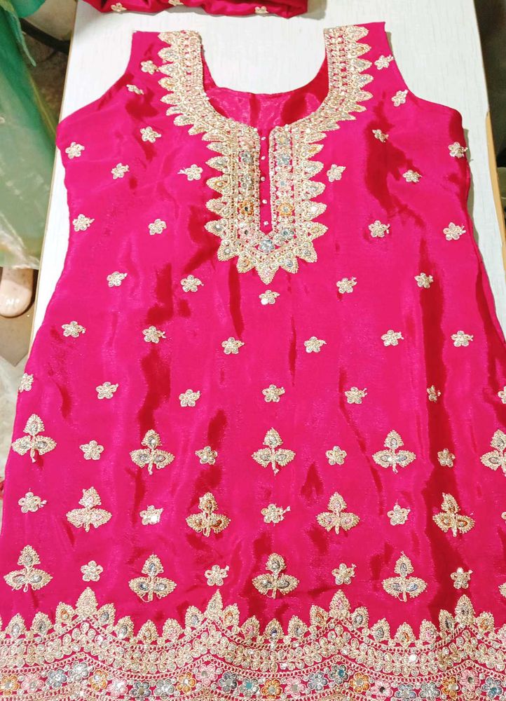Elegant Pink Plazzo set
