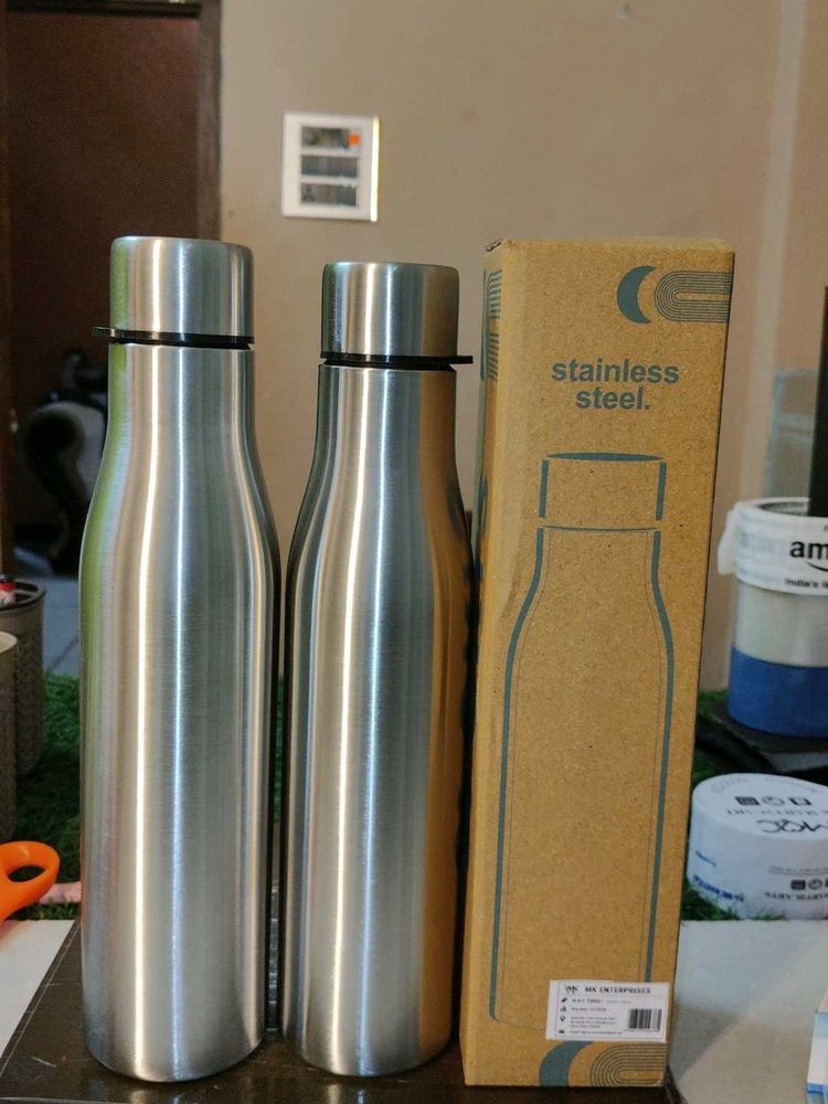 Stainless Steel Water Bottles (Set of 2)