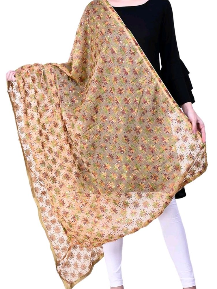 Chiffon Embroidered Dupatta