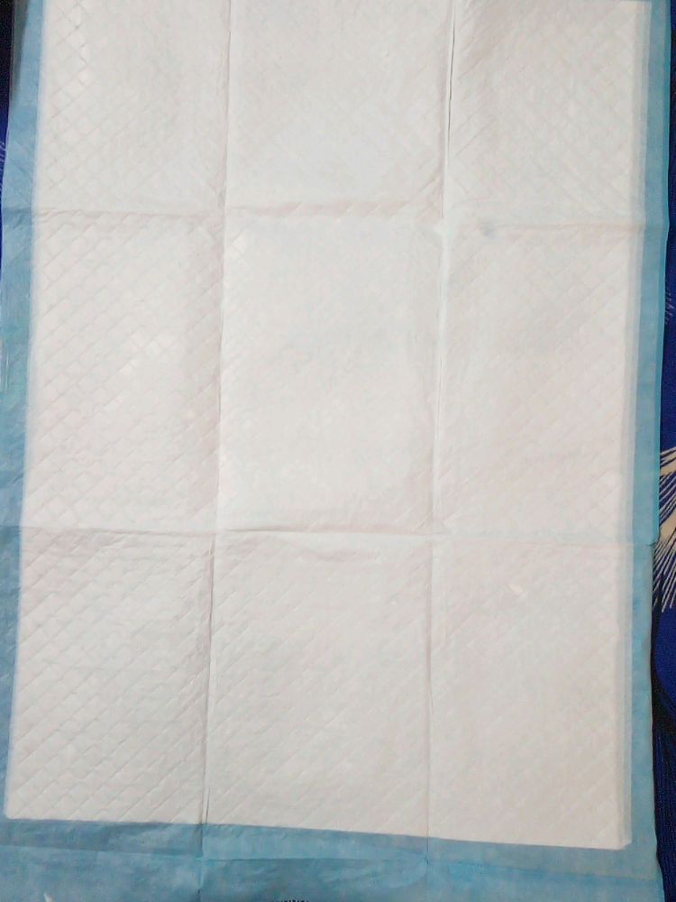 Absorbent Pet Pee Pads
