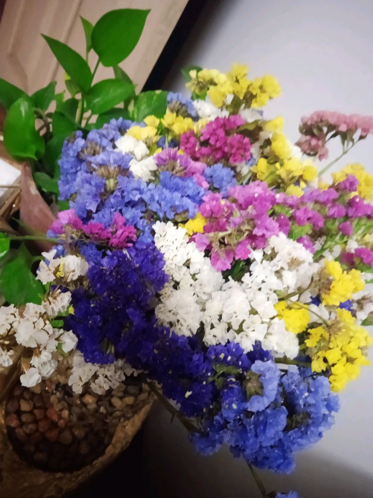 Dry Flowers