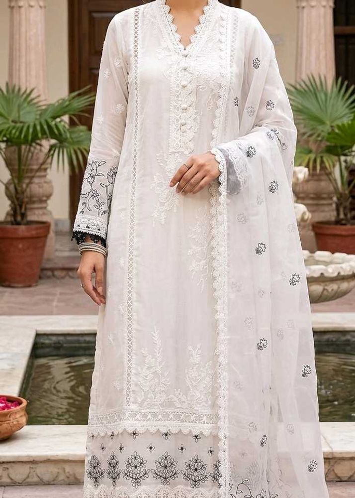 Elegant White Chikankari Kurta Set