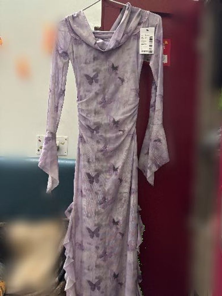 Butterfly Print Mesh Dress