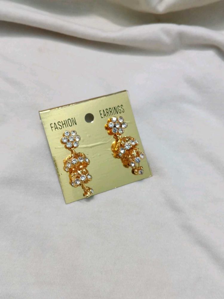 Elegant covering Earrings