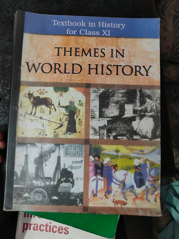 class XI political science, history book, po