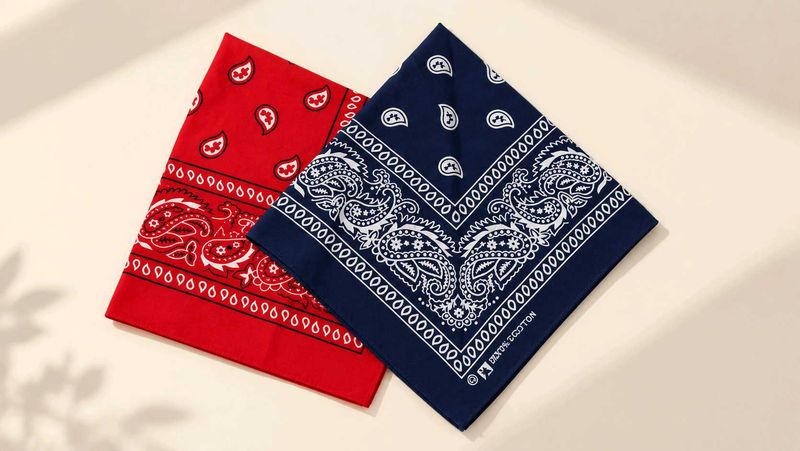 Classic Red &amp; Blue Bandana Set