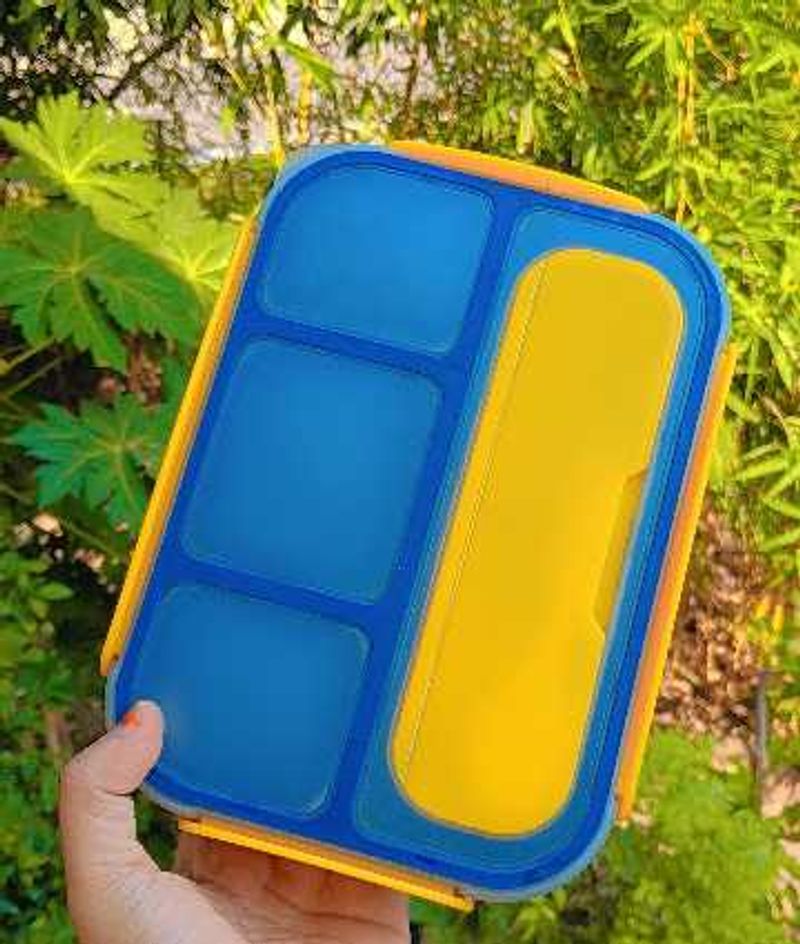 Lunch Box with 4 Compartments