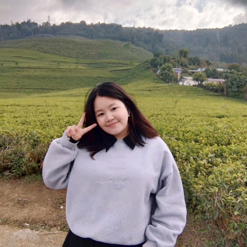 Grey Sweatshirt