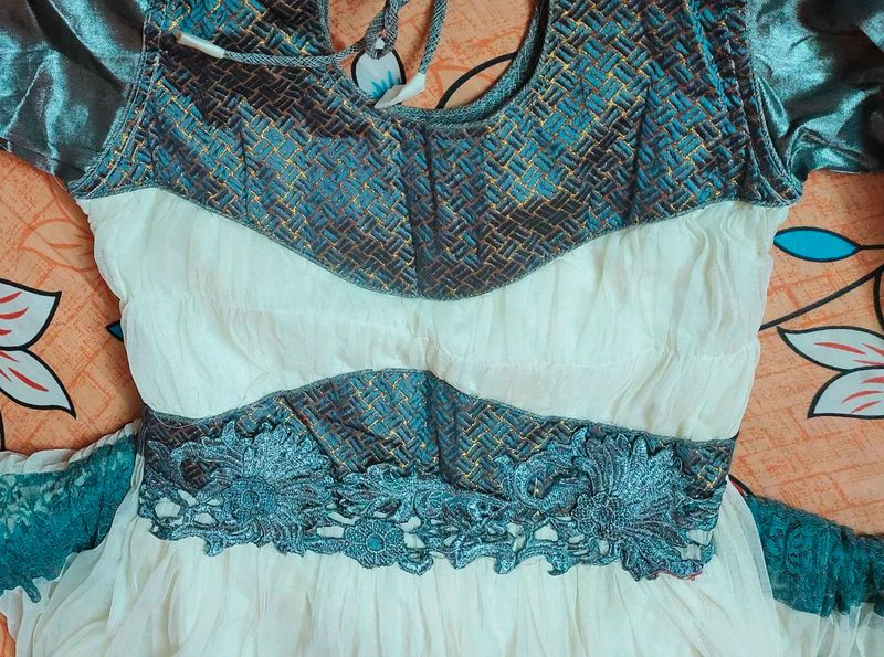 Elegant Embroidered Dress