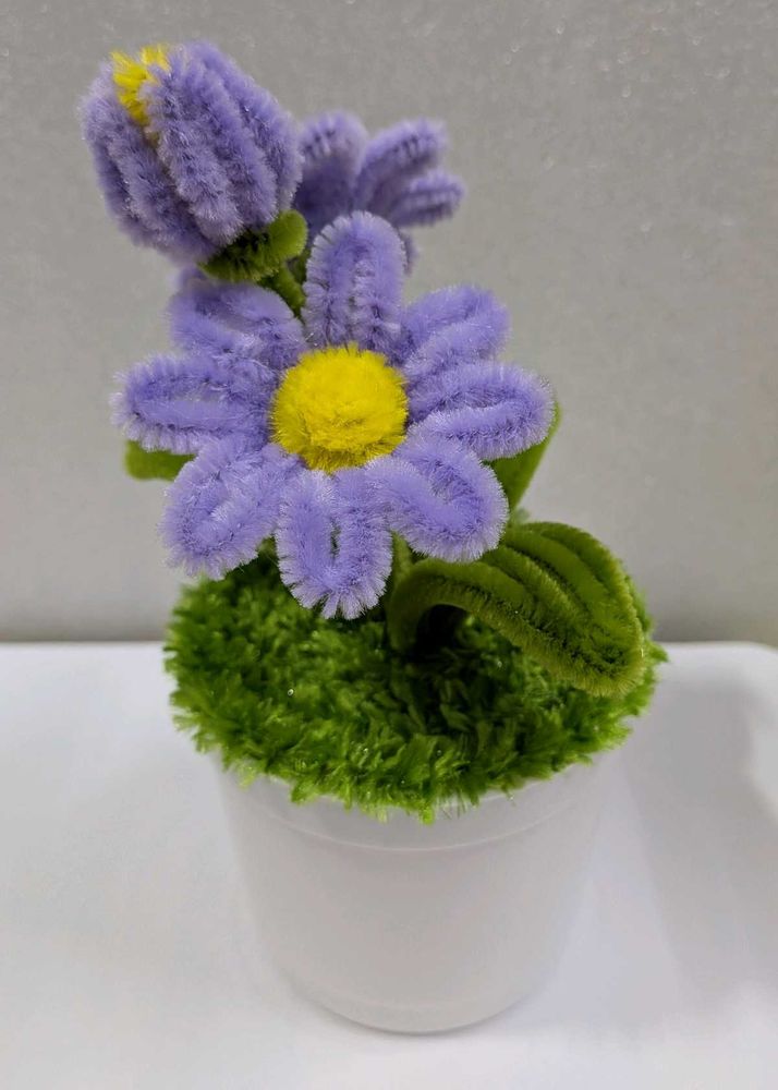 Cute Handcrafted Daisy Plant