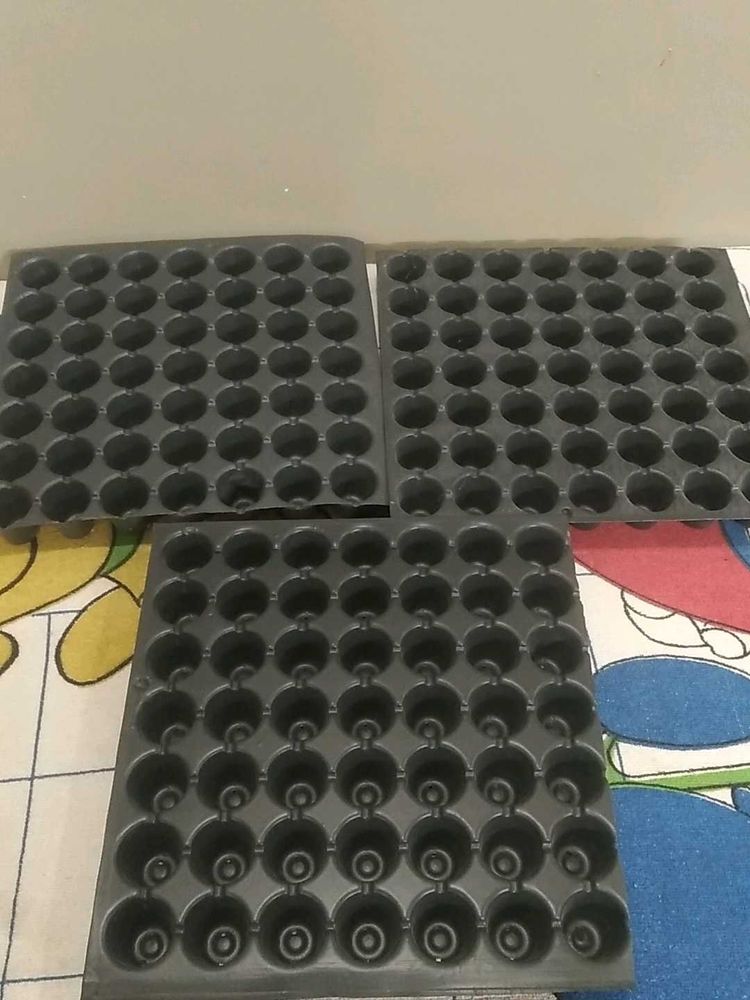 Seedling Trays - Pack of 3